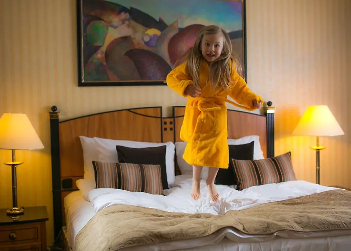 布达佩斯科维努斯凯宾斯基酒店 布达佩斯